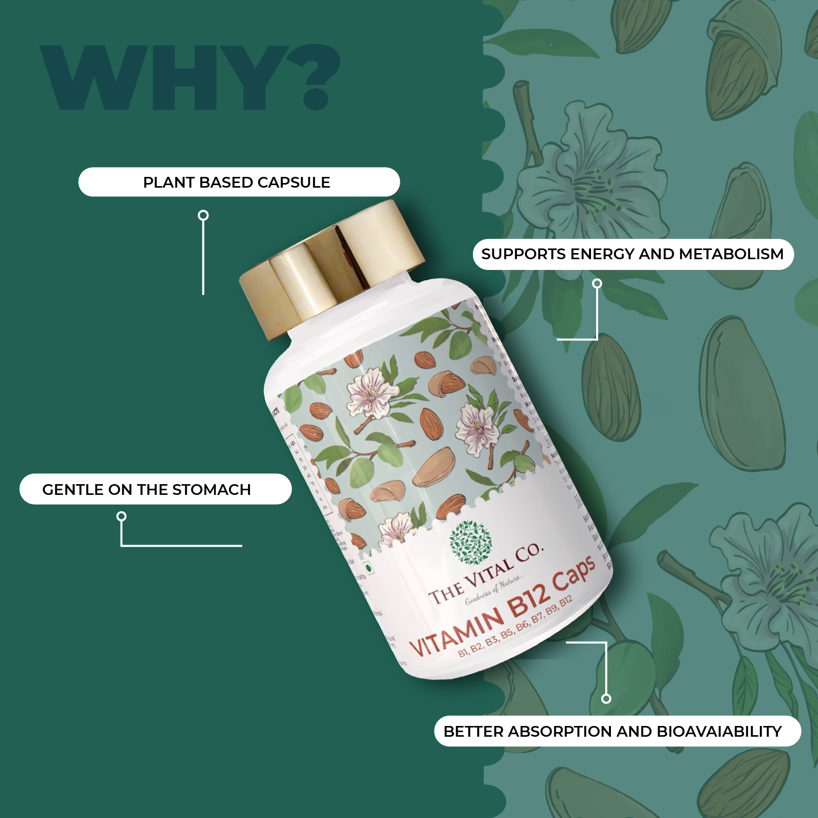 Stress & Energy Reset Organic Ashwagandha Powder + Plant-Based Vitamin B12 Cap