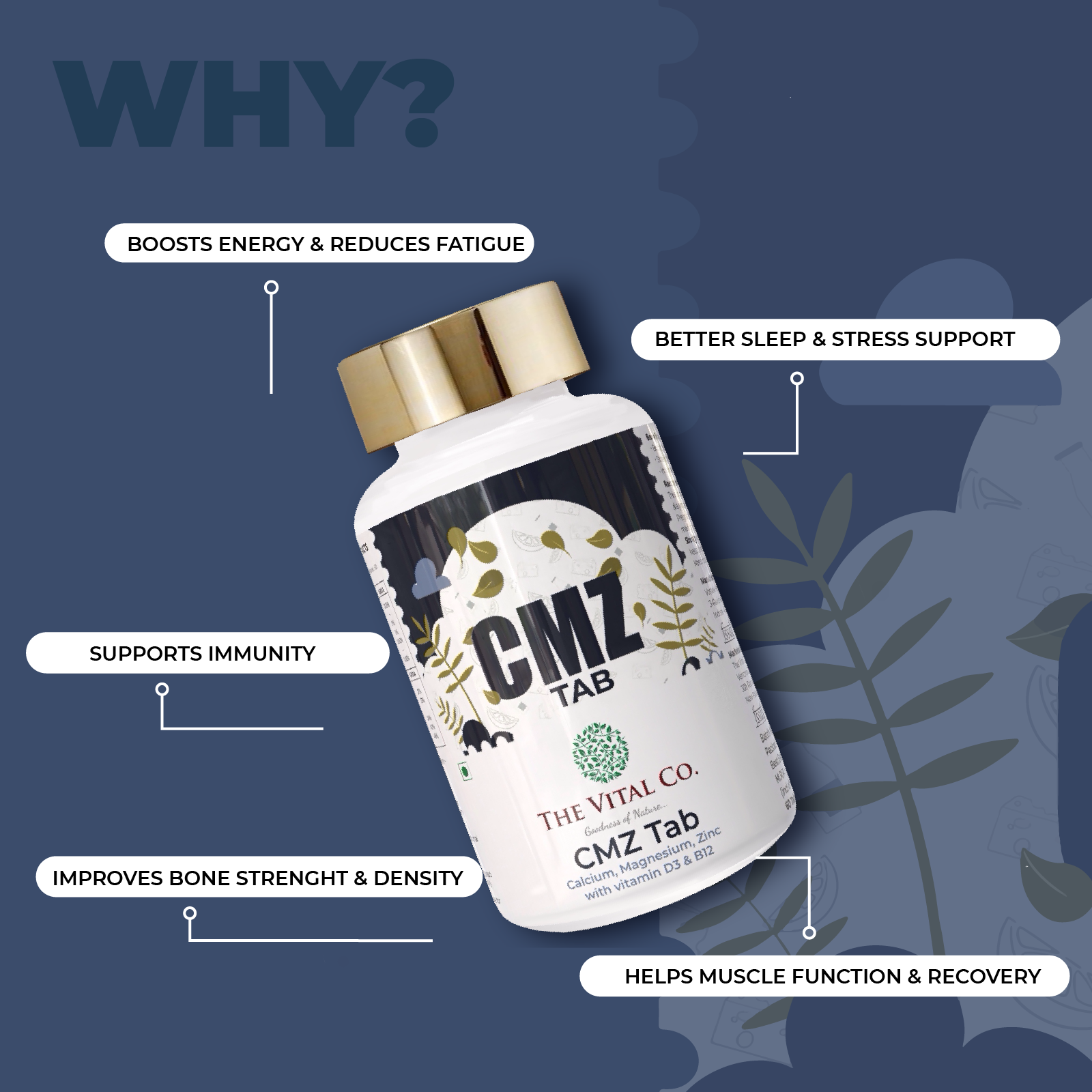Complete Bone & Joint Kit CMZ Tablets + Moringa Powder