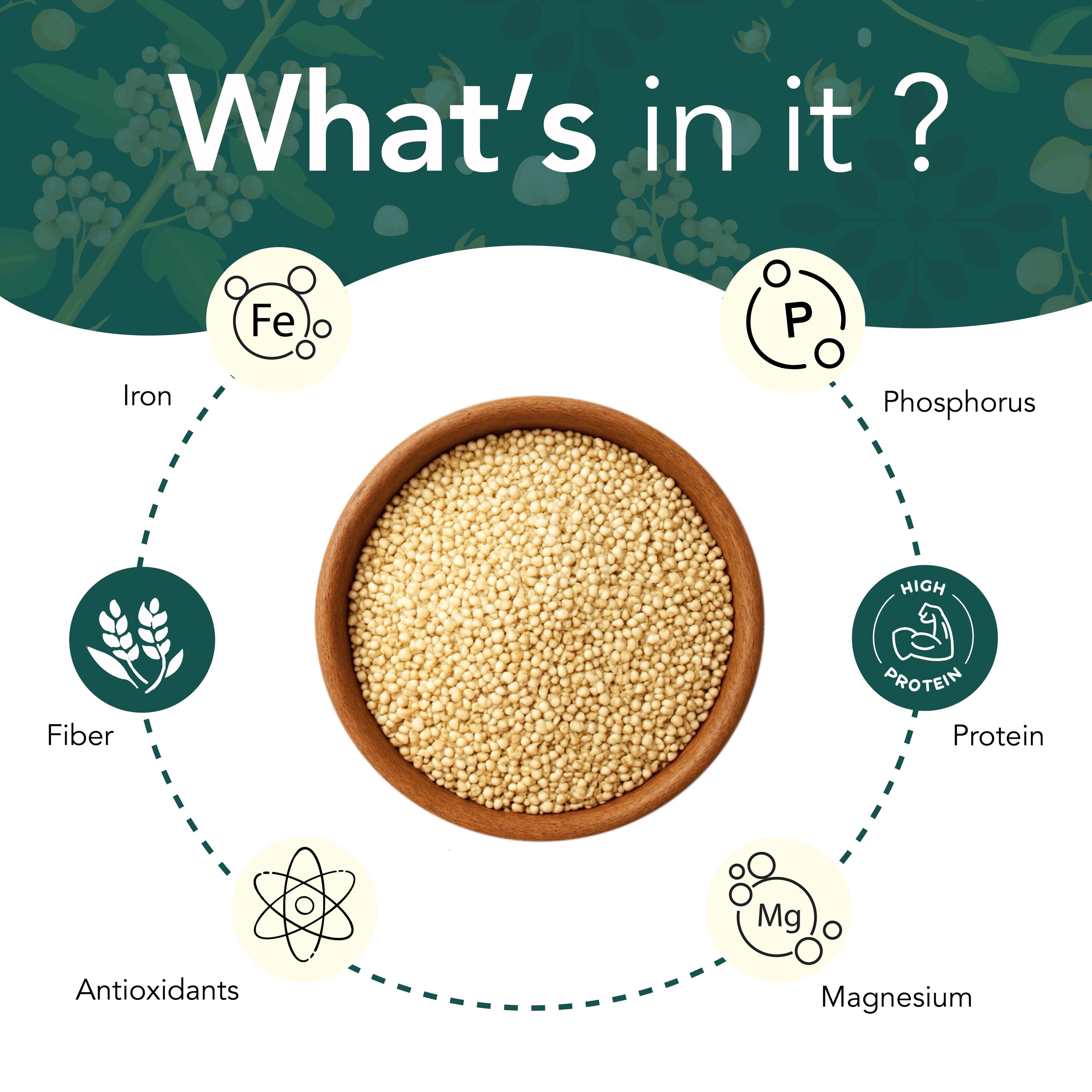 Quinoa Seeds