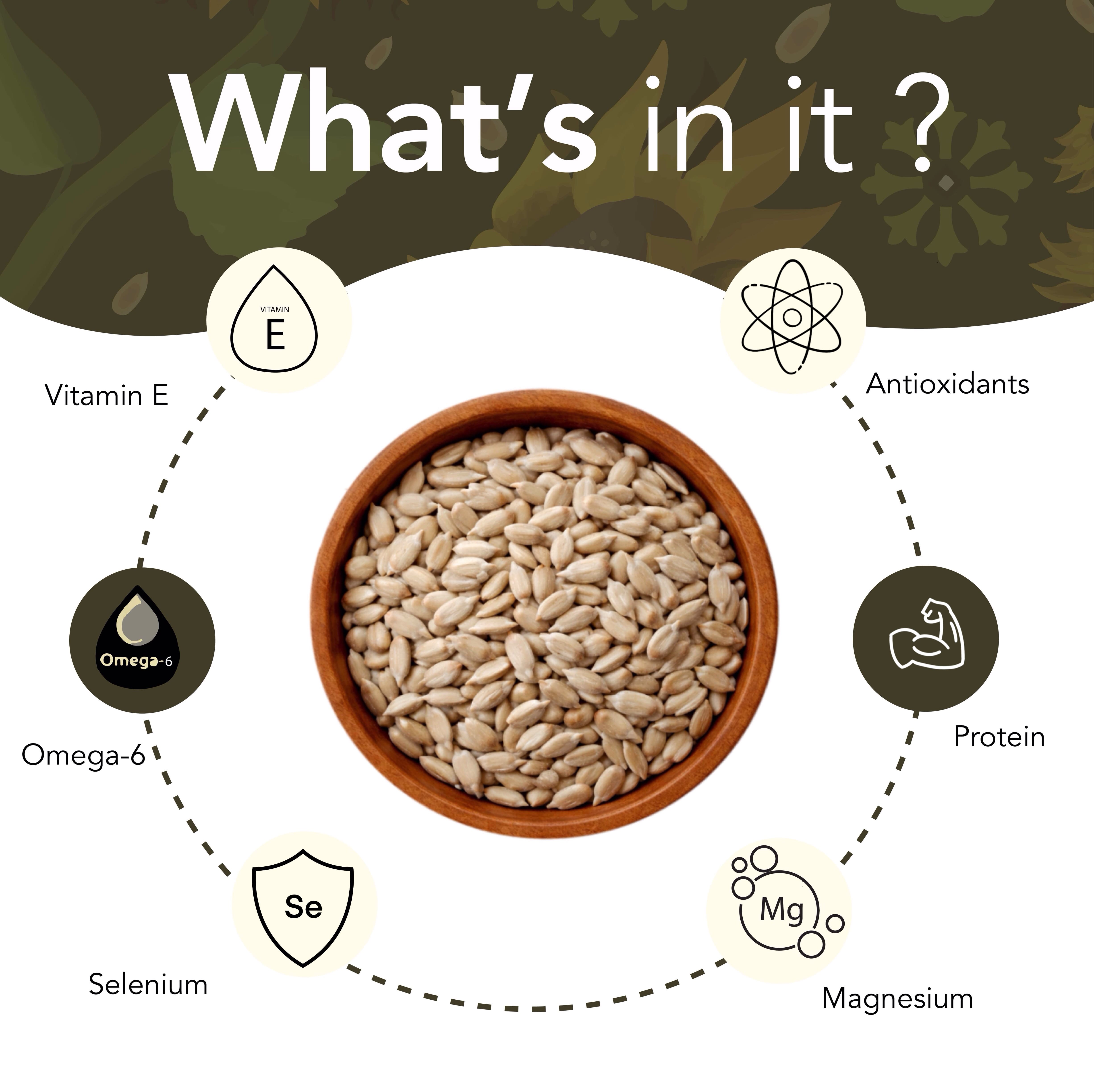 Sunflower seed