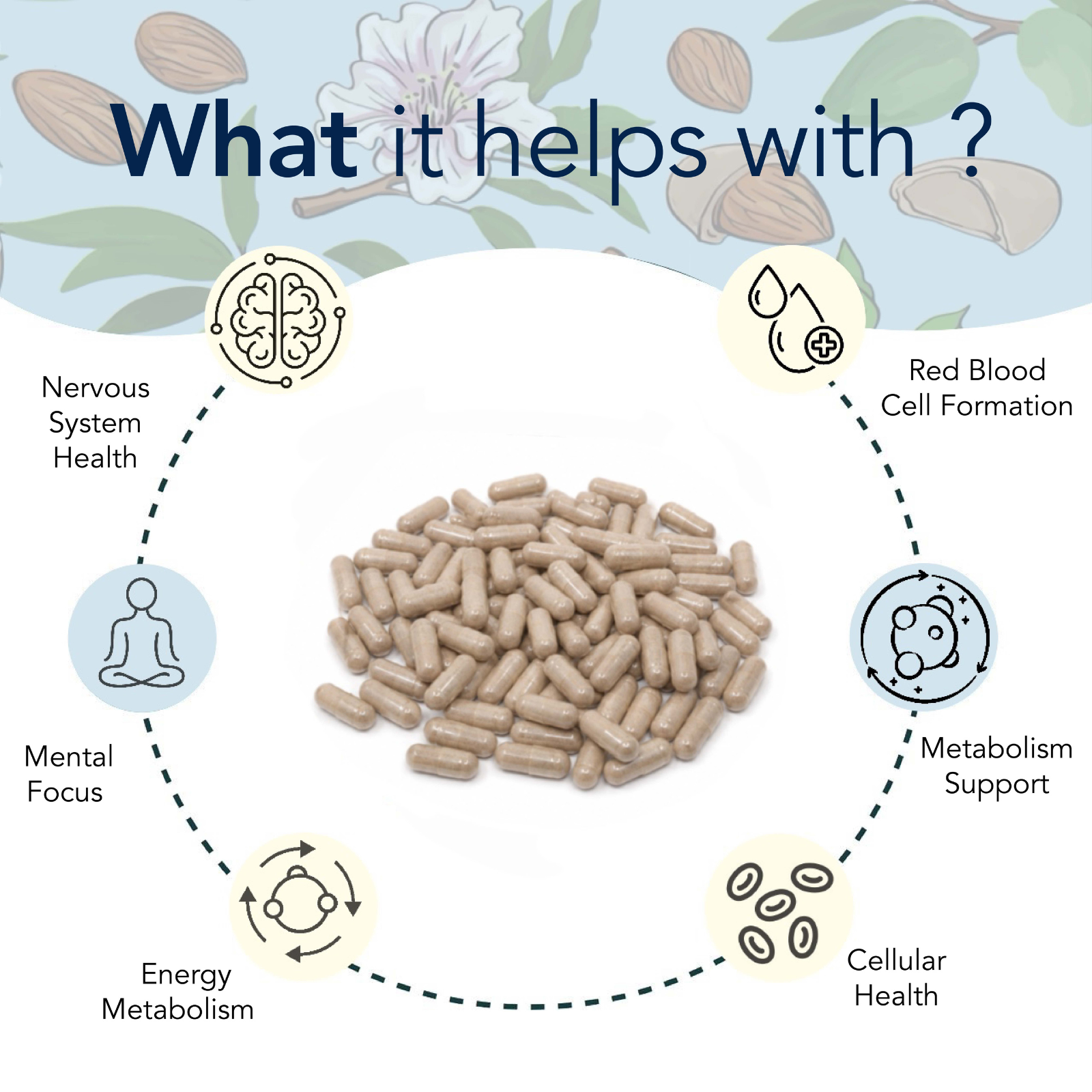 Stress & Energy Reset Organic Ashwagandha Powder + Plant-Based Vitamin B12 Cap