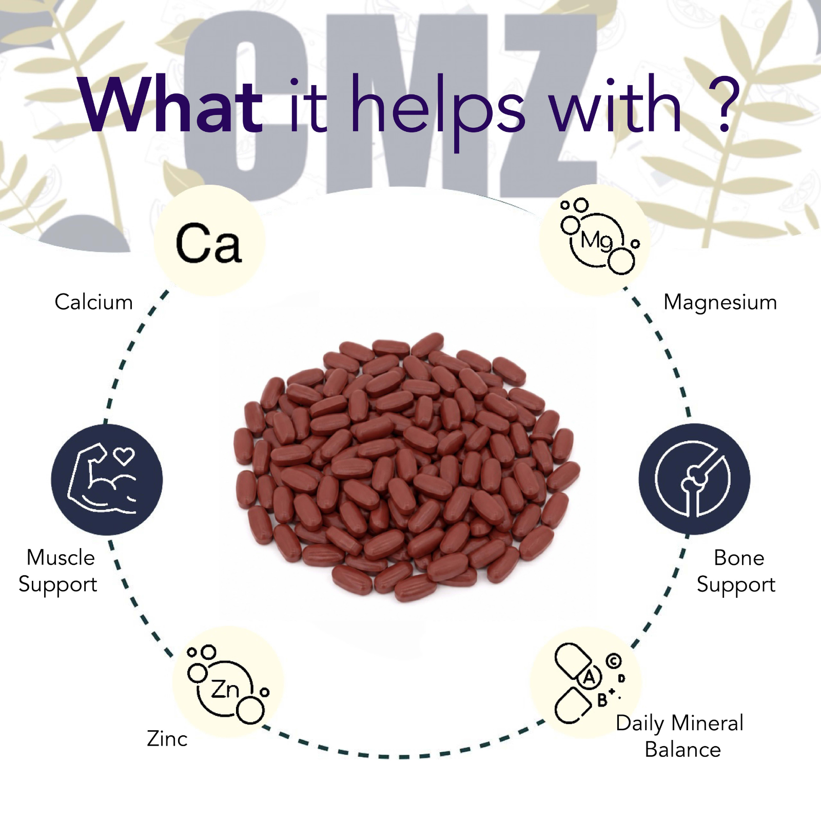Complete Bone & Joint Kit CMZ Tablets + Moringa Powder